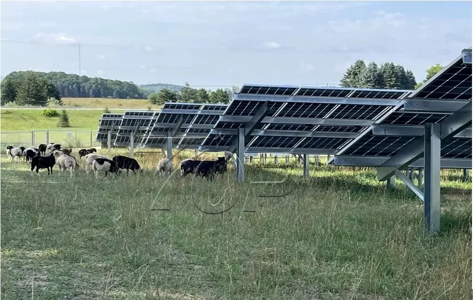 Photovoltaic C-Steel Single Post Farm Mounting